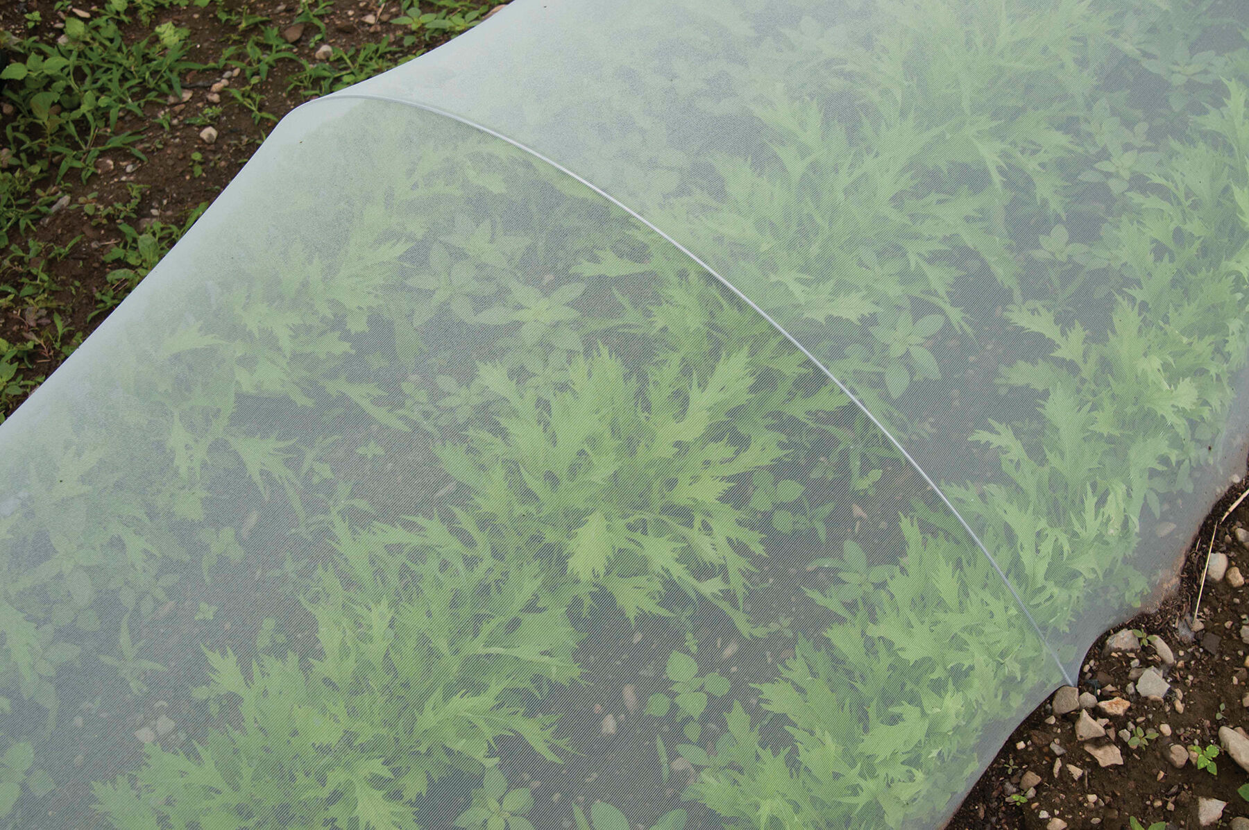 ProtekNet – 21' x 328' - Insect Barrier | Johnny's Selected Seeds