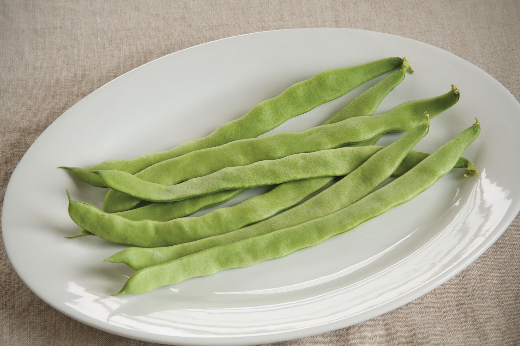 Northeaster - Organic Pole Bean Seeds | Johnny's Selected Seeds