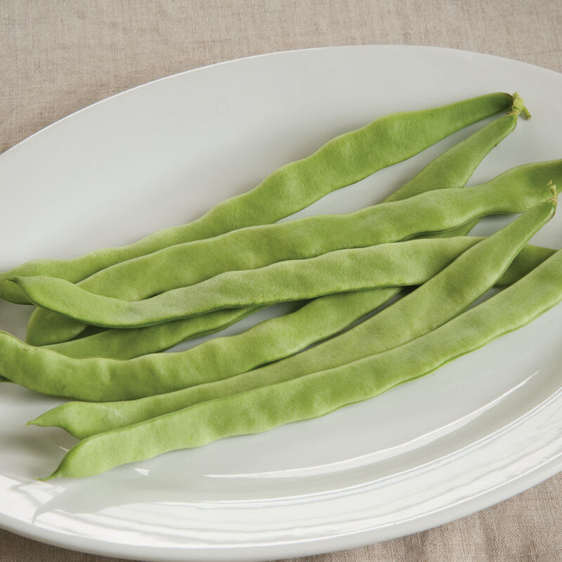 Northeaster Pole Beans