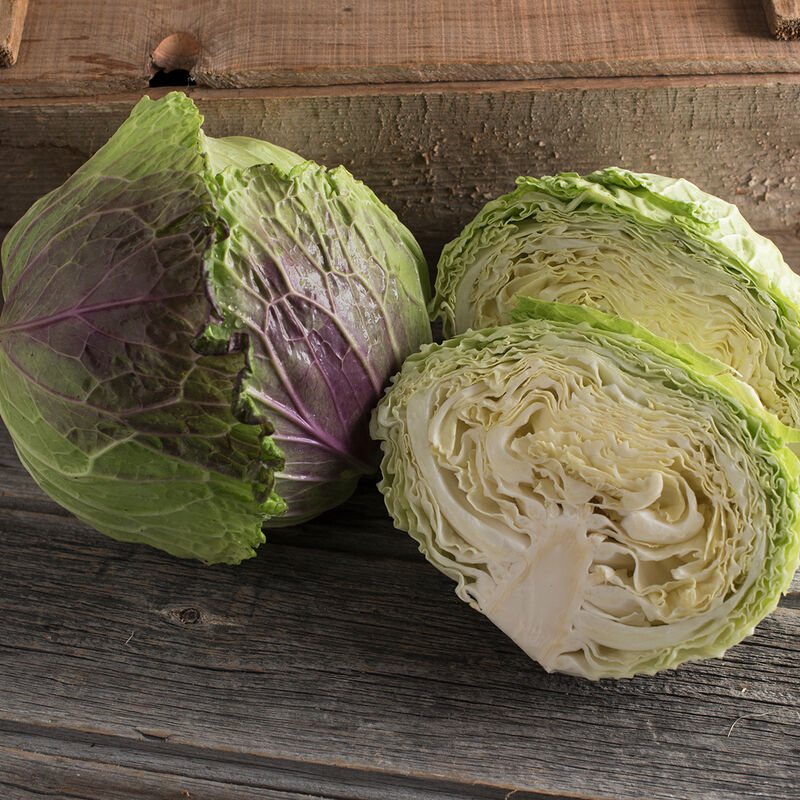 Deadon Fresh Market Cabbage