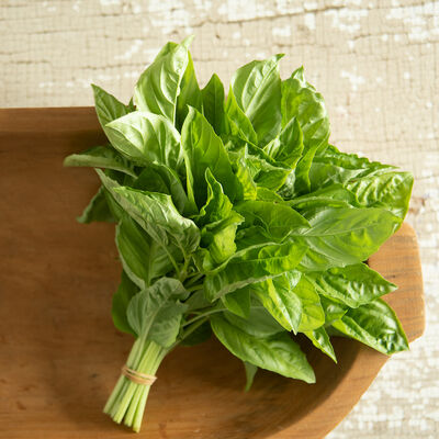 Newton Newton Basil