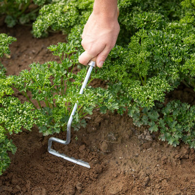 Wire Weeder Weeders and Cultivators