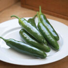 Santo Domingo Hot Peppers