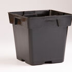 Jumbo Square Plastic Pots – 200 Count Plastic Pots