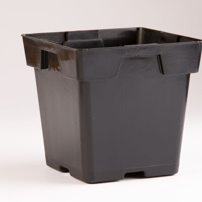 Jumbo Square Plastic Pots – 200 Count Plastic Pots