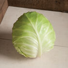 Primo Vantage Fresh Market Cabbage