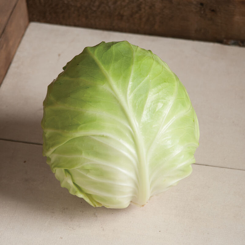 Primo Vantage Fresh Market Cabbage