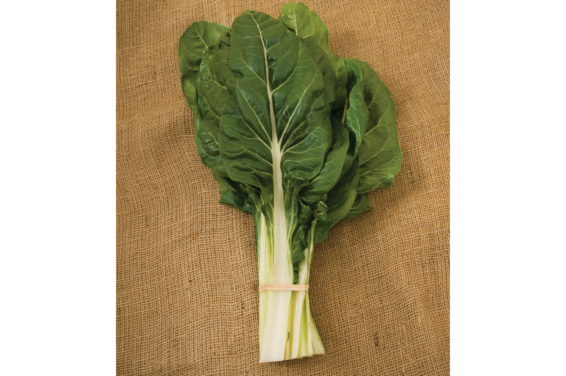 Fordhook Giant Swiss Chard