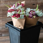 Florida Container – 25 cm Florida Series