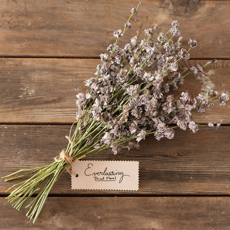 Small Dried Lavender Bouquet with Larkspur or Billy Balls – Mossy Moss by  Olia