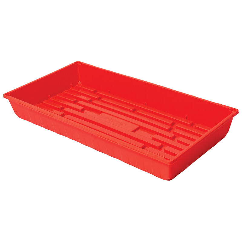Polypro Endurance Deep Tray (No Holes), Red – 4 Count Support Trays