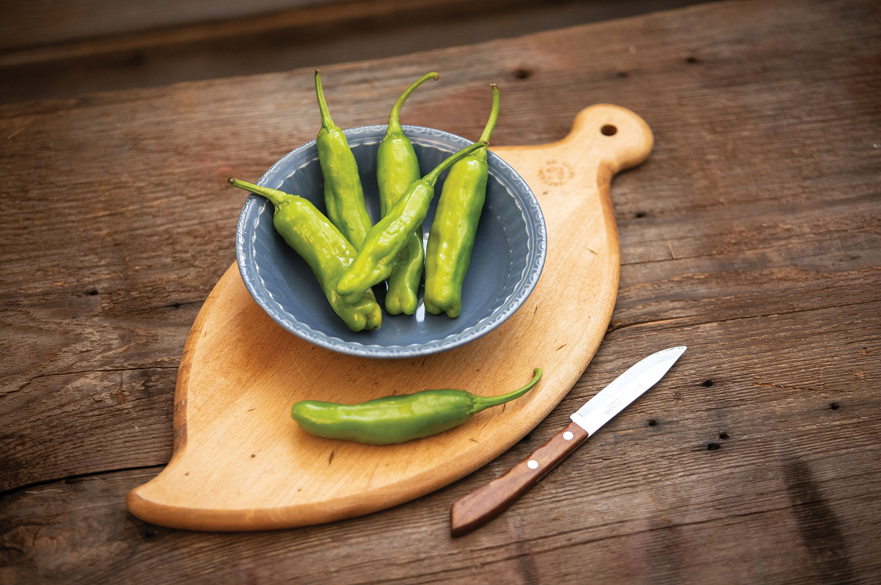 ぺぱろに Shishimai - (F1) Shishito Pepper Seed | Johnny's Selected Seeds