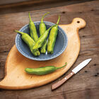 Shishimai Hot Peppers