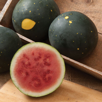 Harvest Moon Watermelons