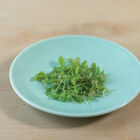 Lemon Balm Microgreen Herbs