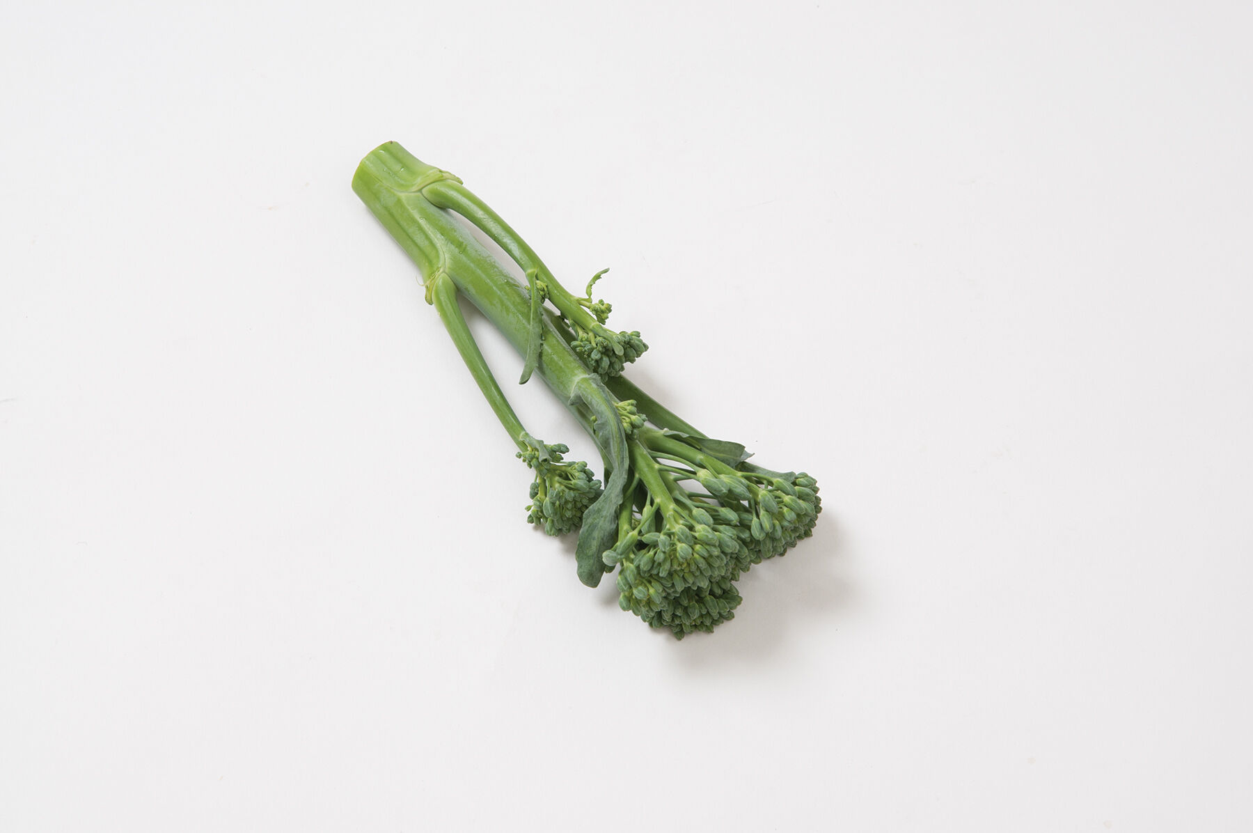 Happy Rich Mini Broccoli