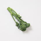 Happy Rich Happy Rich Mini Broccoli