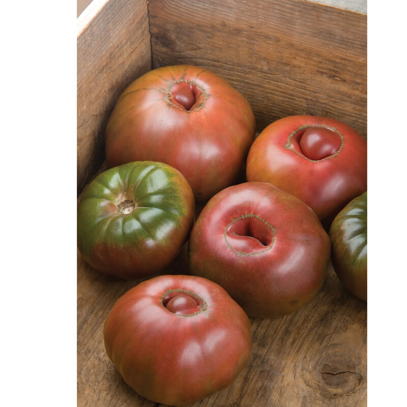 Black Krim Heirloom Tomatoes