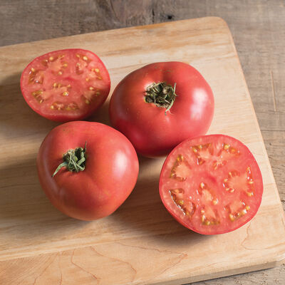 Damsel Specialty Tomatoes