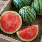 Kalahari Triploid Watermelons (Seedless)