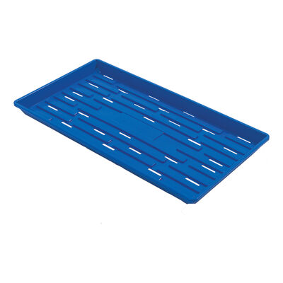 Polypro Shallow Tray (With Holes), Blue – 24 Count Support Trays