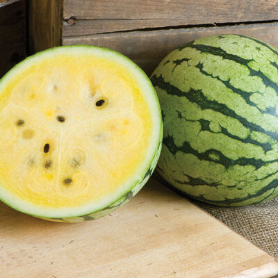 Sunshine Diploid Watermelons