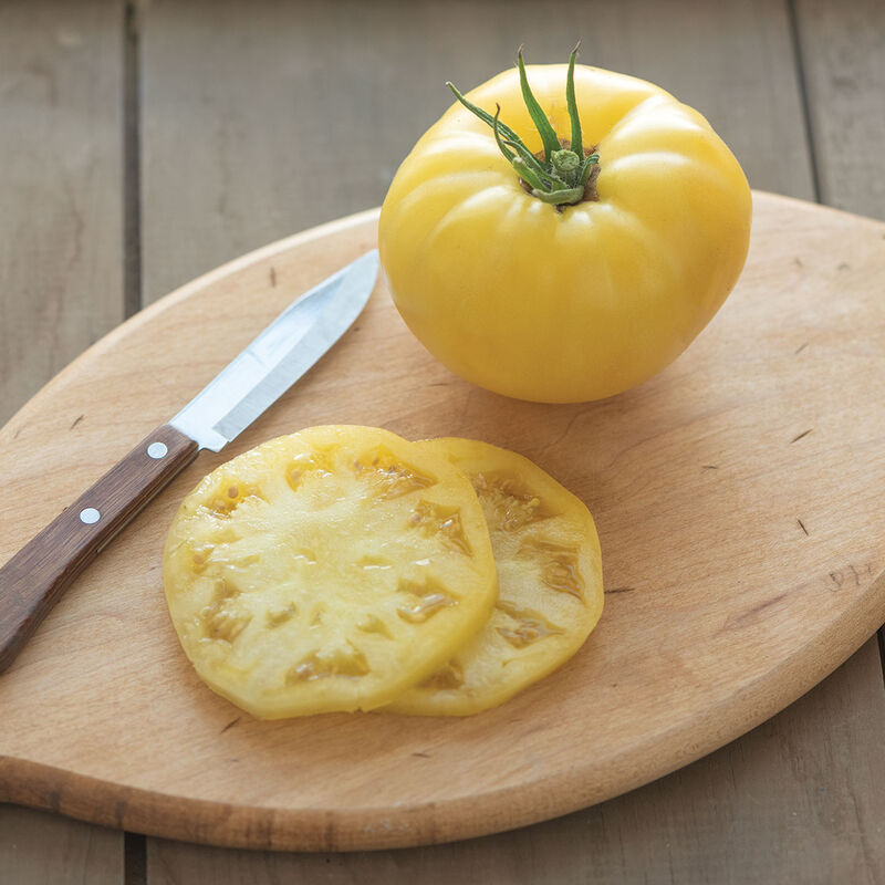 Marvori Specialty Tomatoes
