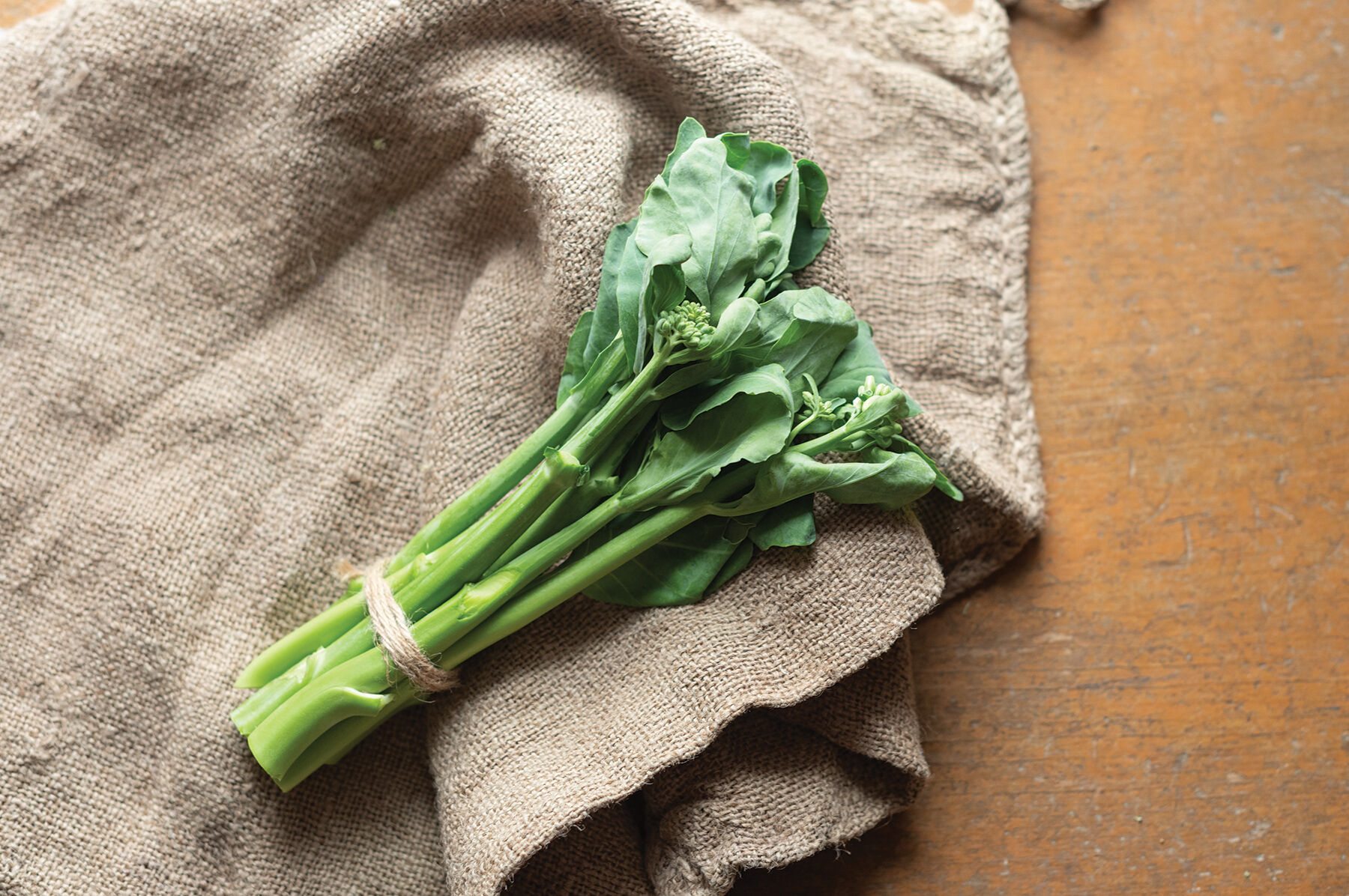 Melody - (F1) Broccoli Seed | Johnny's Selected Seeds