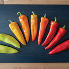 Hungarian Hot Wax Hot Peppers