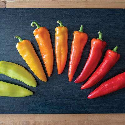 Hungarian Hot Wax Hot Peppers