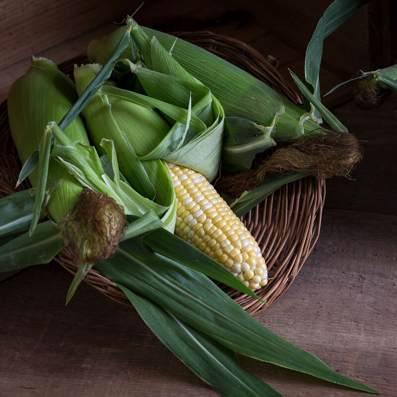 American Dream American Dream Sweet Corn