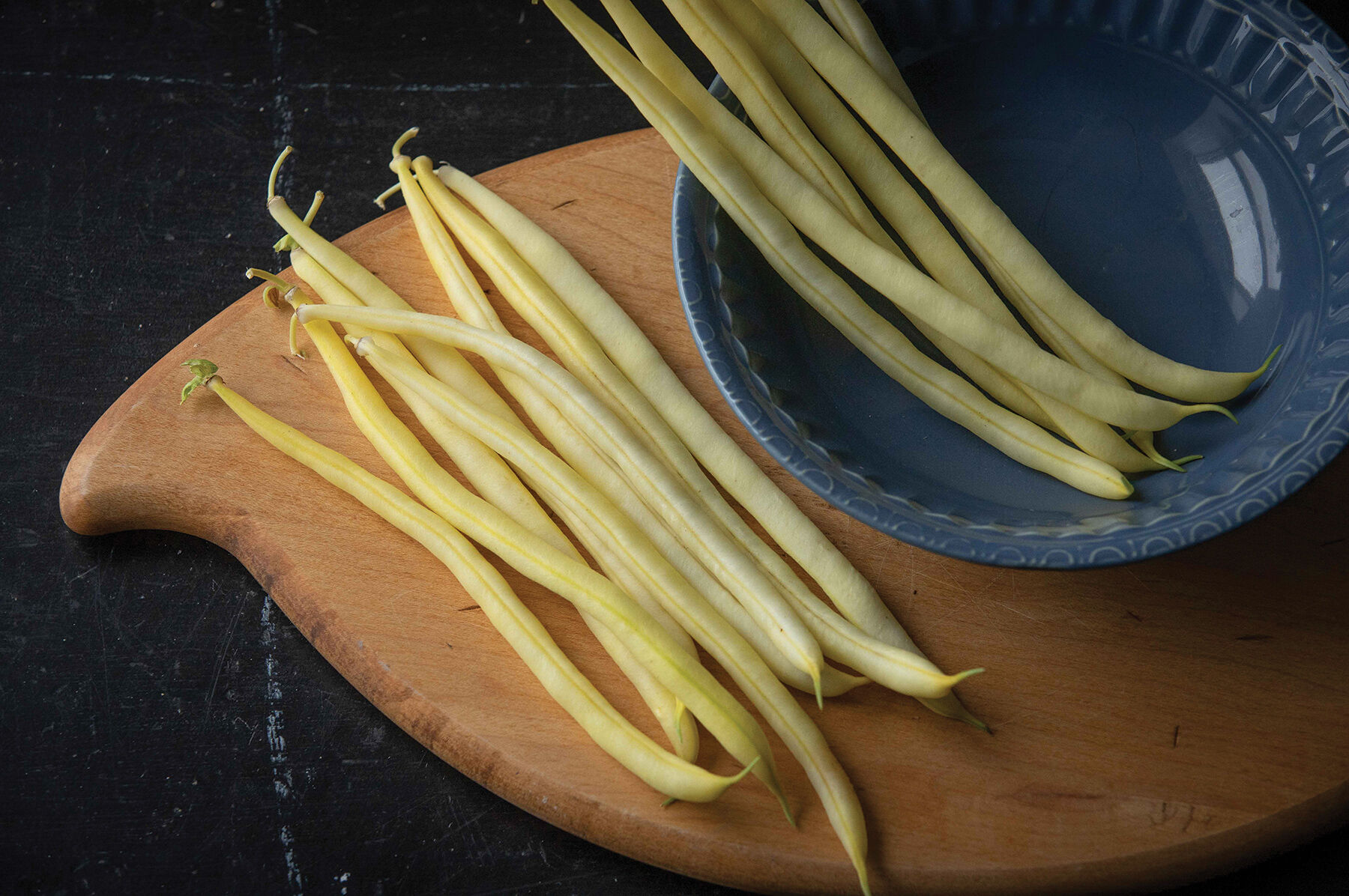 Johnny's Selected Seeds Goldilocks Bean Seed