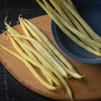 Goldilocks Bush Beans