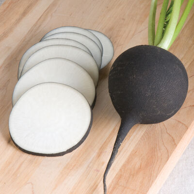 Nero Tondo Nero Tondo Specialty Radishes