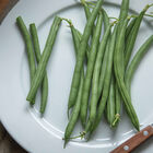 Seychelles Seychelles