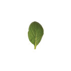 Green Giant Asian Greens