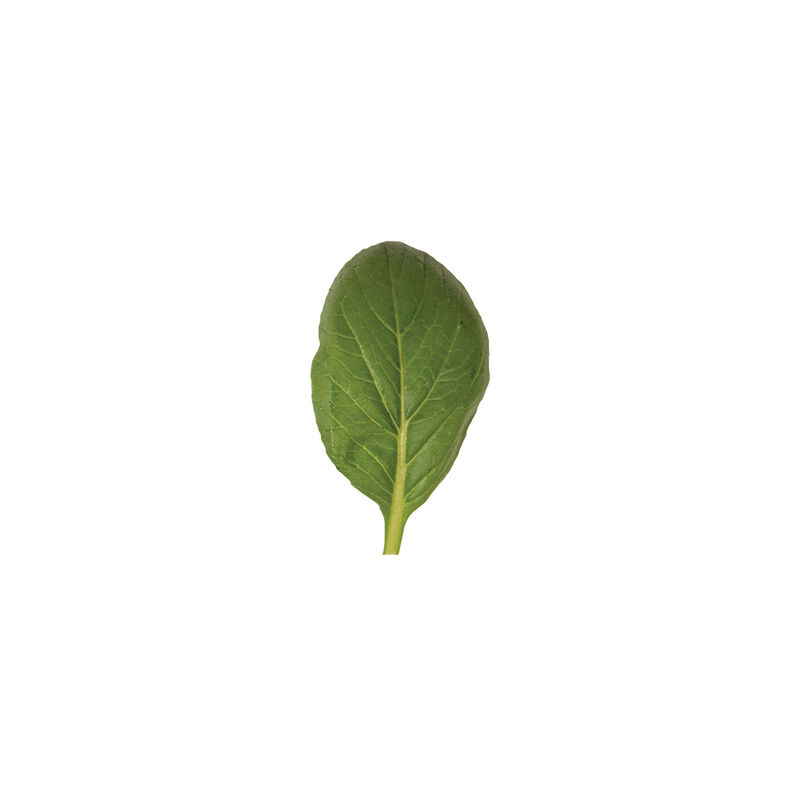 Green Giant Asian Greens