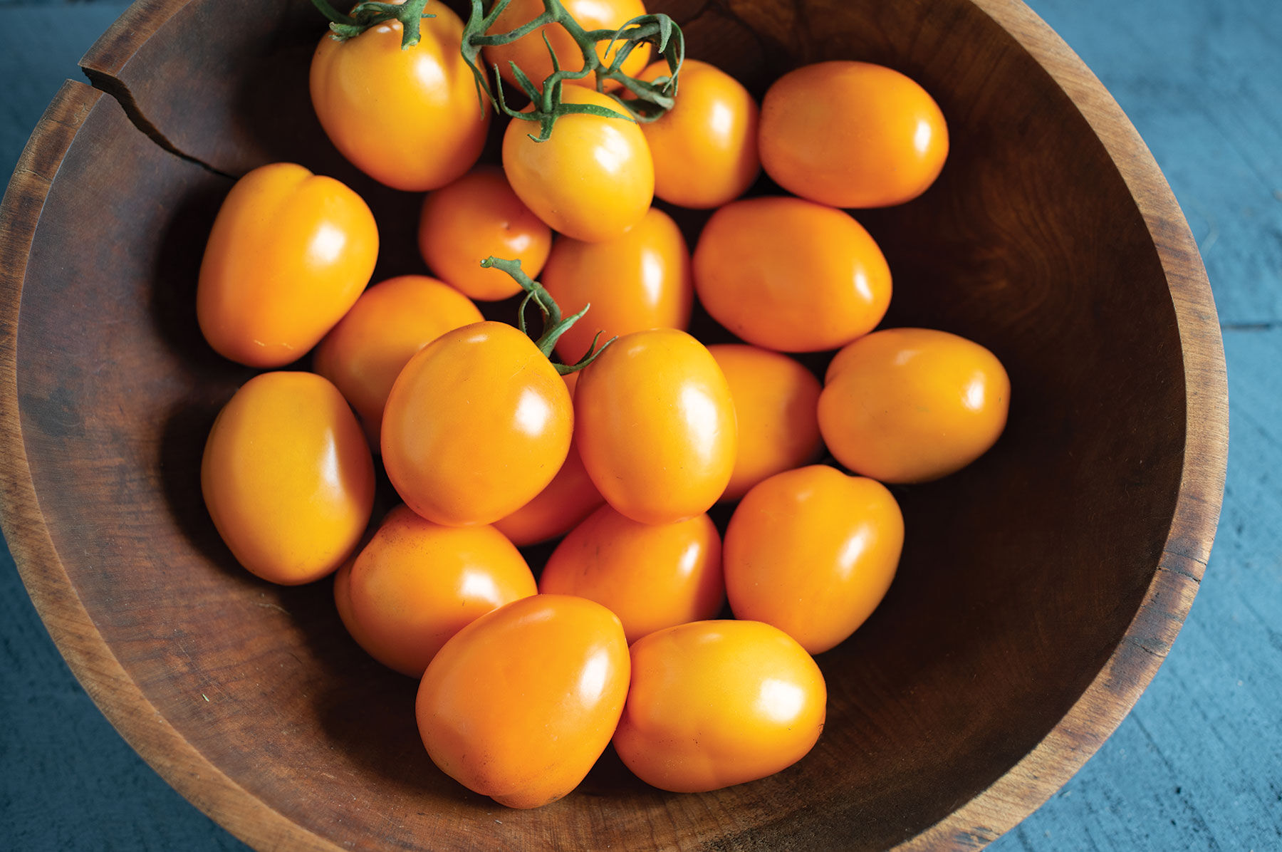 その他 Tomato Paste Tomato Seeds - Roma, Plum Varieties | Johnny's