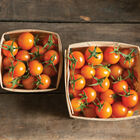 Sun Gold Cherry Tomatoes