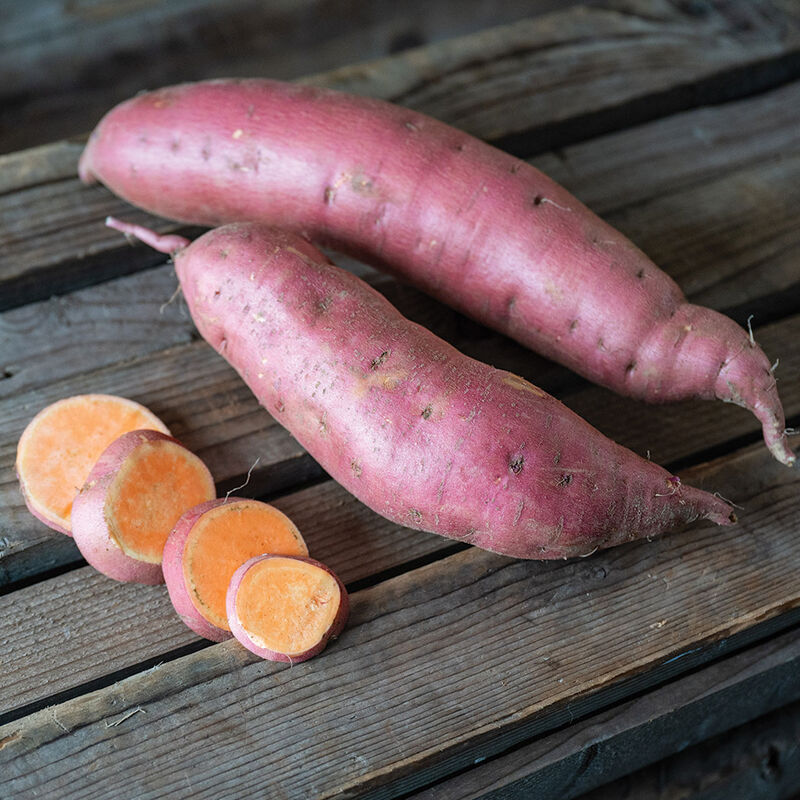 Beauregard Sweet Potatoes