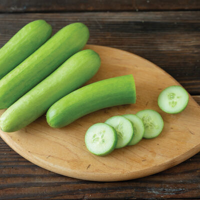 Mojito Specialty Cucumbers