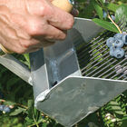 Highbush Blueberry Rake Harvesting Tools