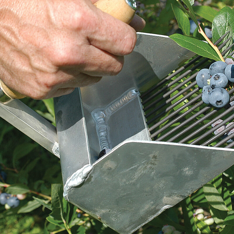 Highbush Blueberry Rake | Johnny's Selected Seeds