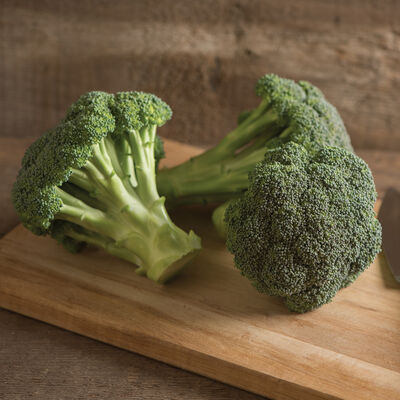 Green Magic Standard Broccoli