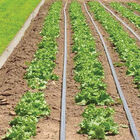 Johnny's Drip Irrigation Kit – 1,000' Johnny's Drip Irrigation Kit – 1,000' Drip Irrigation