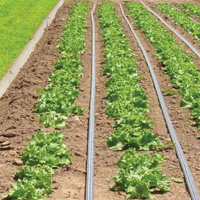 Johnny's Drip Irrigation Kit – 1,000' Johnny's Drip Irrigation Kit – 1,000' Drip Irrigation