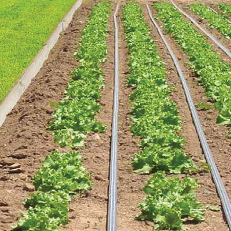 Johnny's Drip Irrigation Kit – 2,000' Johnny's Drip Irrigation Kit – 2,000' Drip Irrigation