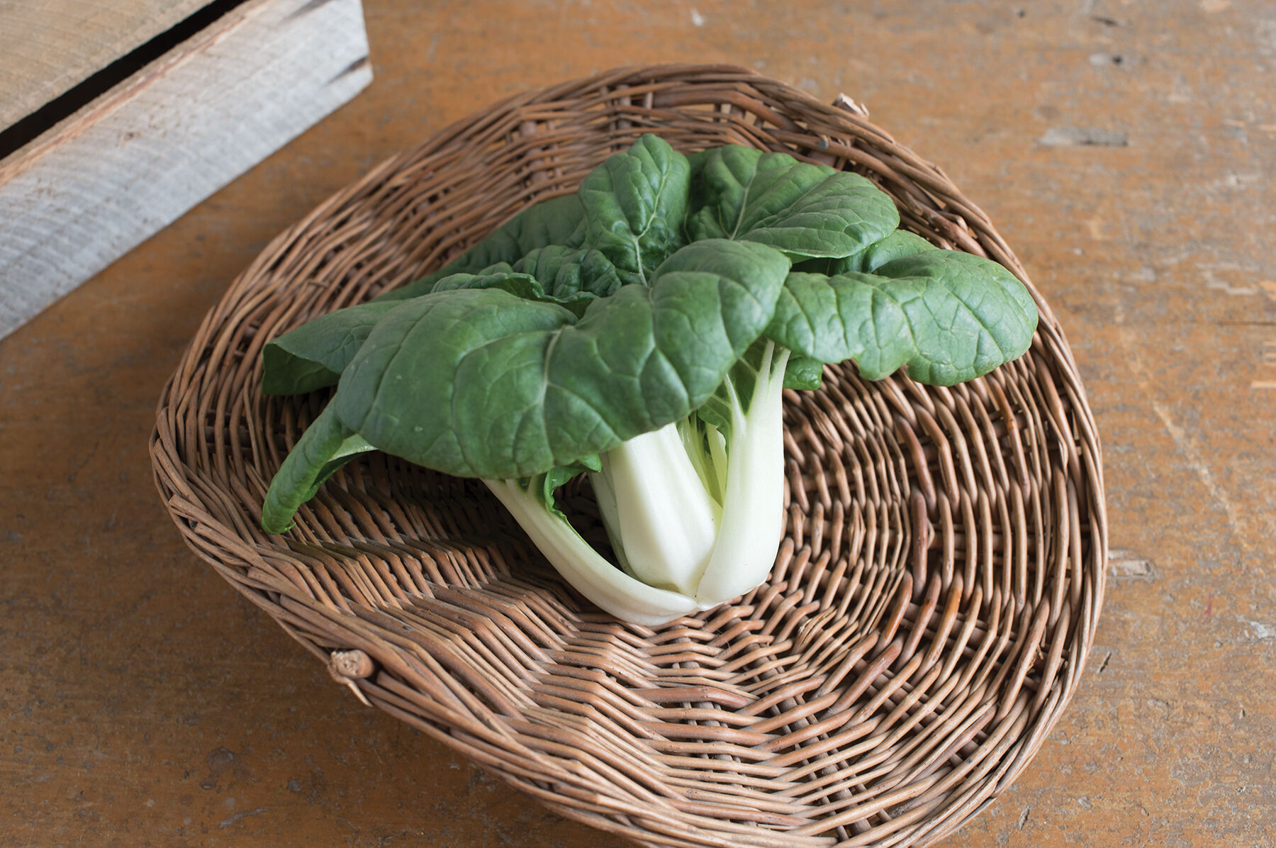 Johnny's Selected Seeds Asian Delight Pac Choi