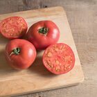 Damsel Specialty Tomatoes