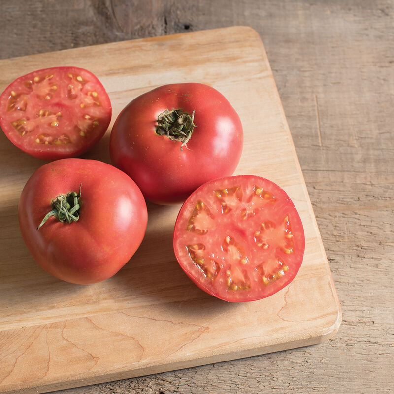 Damsel Specialty Tomatoes